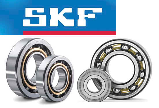 skf lezajevi